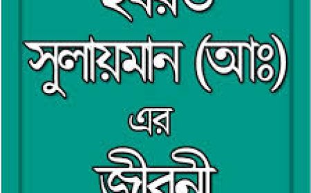 হযরত সুলাইমান আঃ এর জীবনী