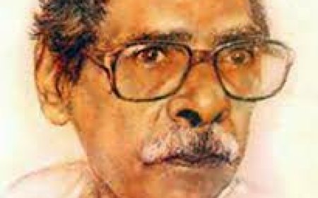 বিনয় মজুমদারের জীবনী