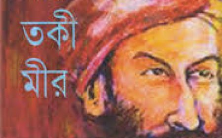 মীর তাকি মীর এর জীবনী
