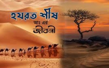 হযরত শীষ আঃ এর জীবনী