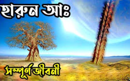 হযরত হারুন আঃ এর  জীবনী