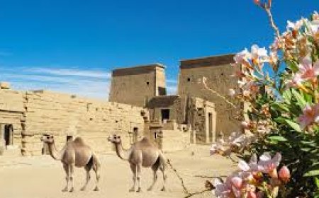 হযরত শিহাব আঃ এর জীবনী