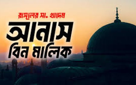 হযরত আনাস ইবনে মালিক (রা :) এর জিবনী