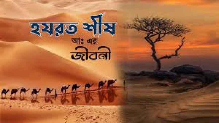 হযরত শীষ আঃ এর জীবনী