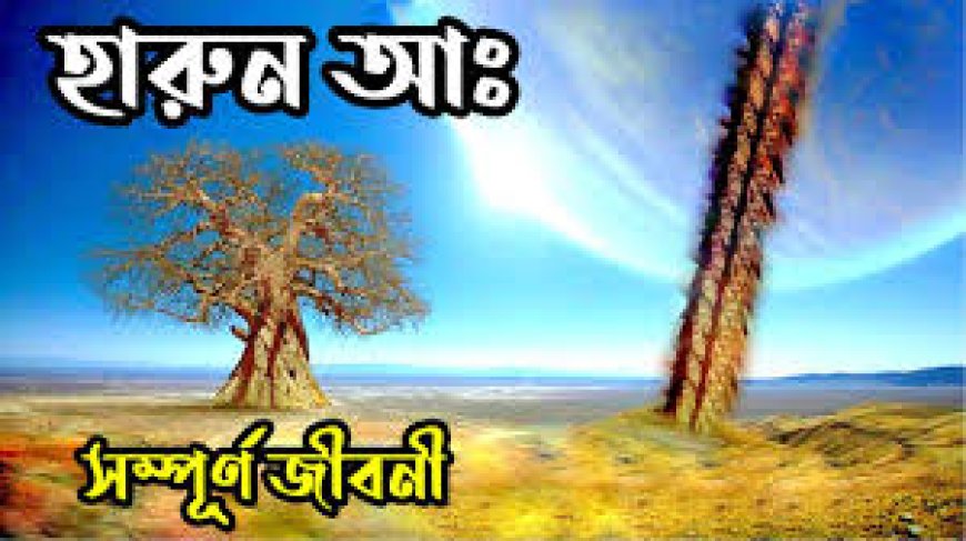 হযরত হারুন আঃ এর জীবনী