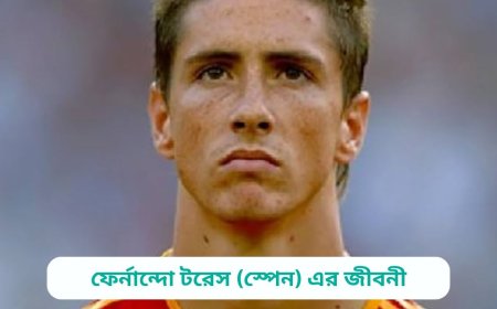 ফের্নান্দো টরেস (স্পেন) এর জীবনী | Fernando Torres (Spain) Biography in bangla