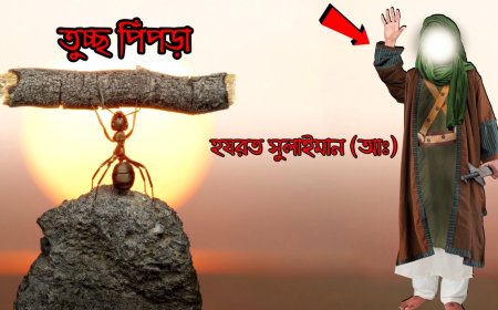 🕌 সুলাইমান (আঃ)-এর জীবনী (আল-কুরআনের আলোকে)