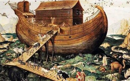 নুহ (আ.) এর জীবনী