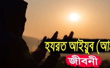 হযরত আইয়ুব (আলাইহিস সালাম) এর জীবনী