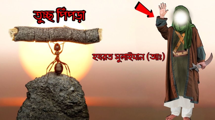 đ āϏā§āϞāĻžāĻāĻŽāĻžāύ (āĻāĻ)-āĻāϰ āĻā§āĻŦāύ⧠(āĻāϞ-āĻā§āϰāĻāύā§āϰ āĻāϞā§āĻā§)