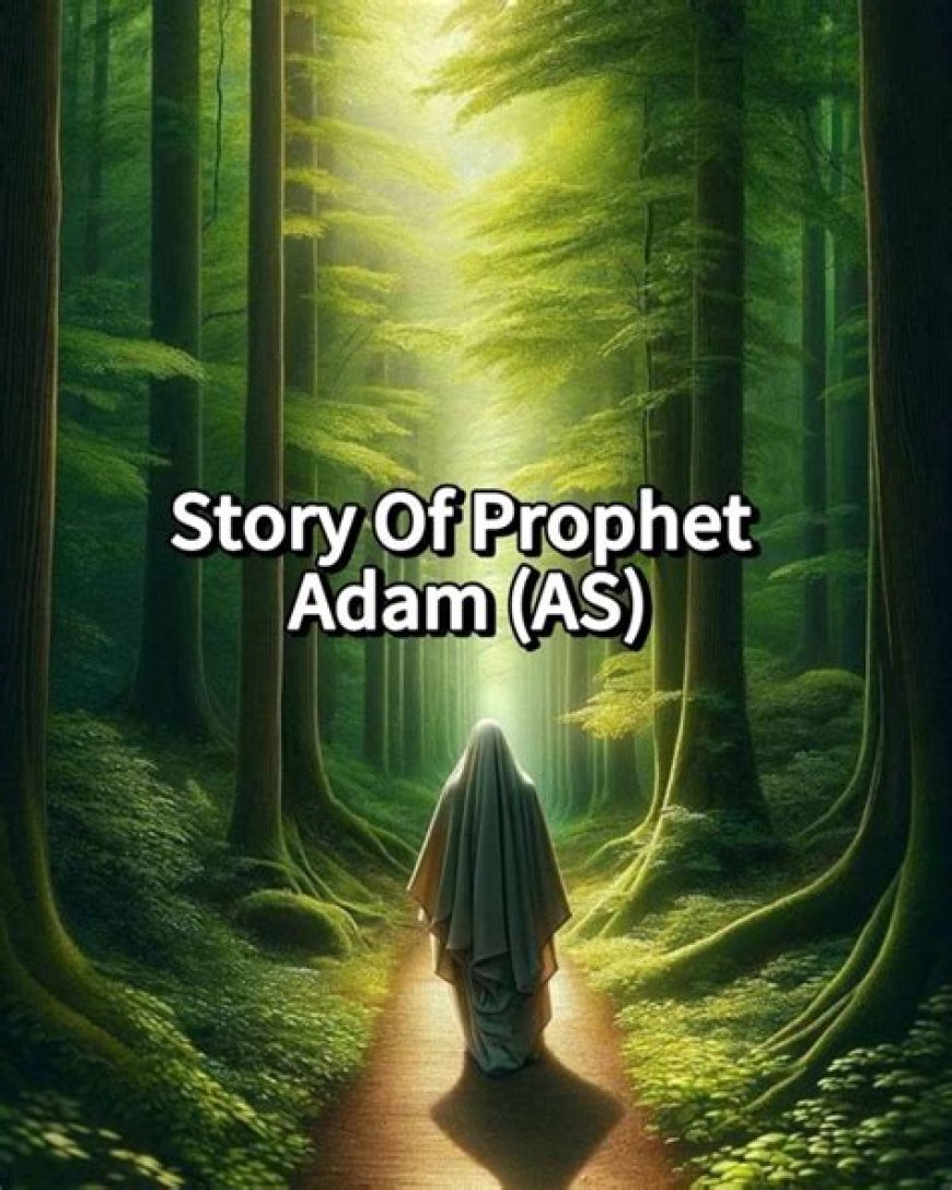 হযরত আদম (আঃ)-এর জীবন কাহিনী ও শিক্ষা