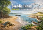সোনাদিয়া দ্বীপ: জীববৈচিত্র্য ও গঠন ইতিহাস